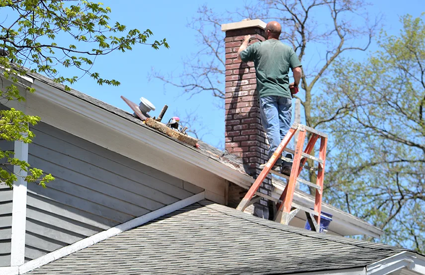 Chimney & Fireplace Inspections Services in Apopka, FL